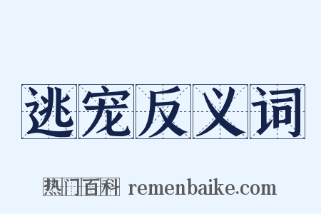 逃宠反义词是什么意思的图片